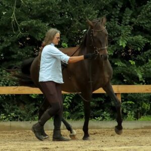 Dr. Sabine Schröder Coaching mit Pferden